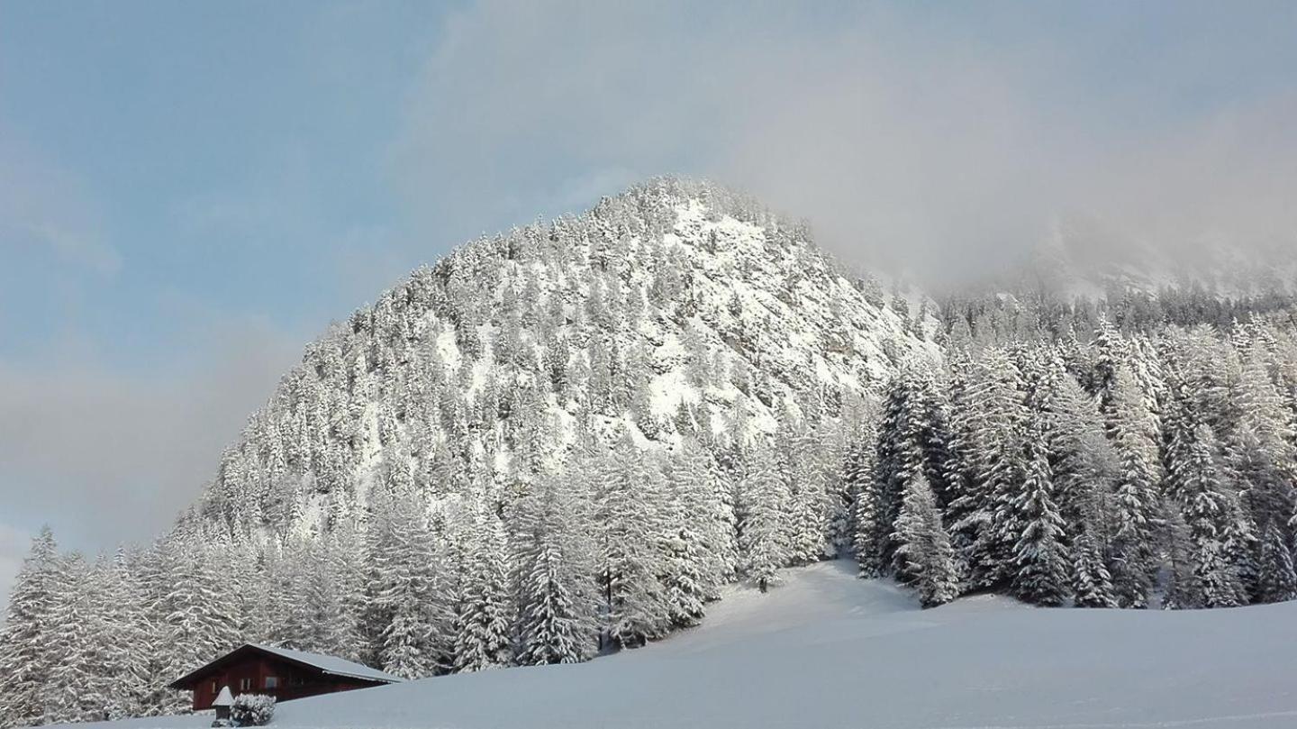 Garni Hotel Iris Selva di Val Gardena Exterior photo